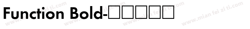 Function Bold字体转换